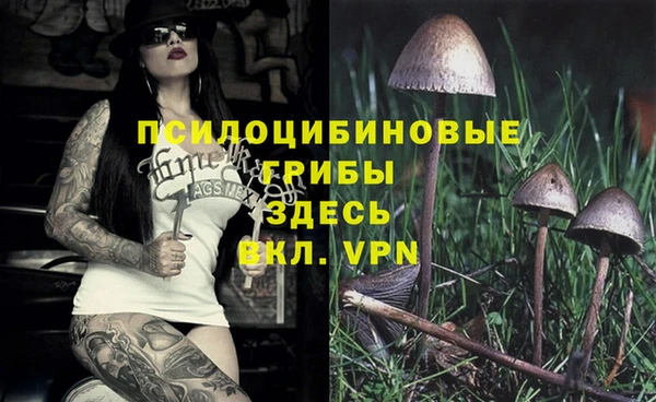 прущие крисы Касимов